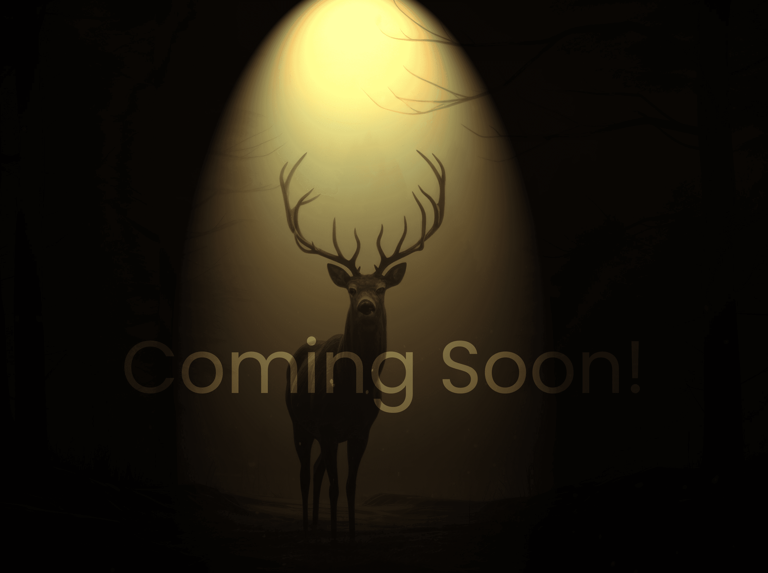 mydeer property coming soon